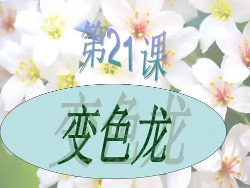 六年级科学上册变色龙PPT课件2