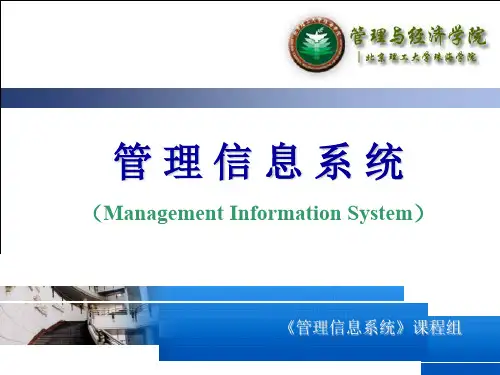 第二章企业信息化PPT精品文档29页