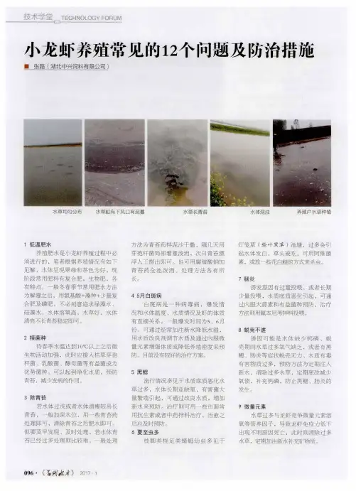 小龙虾养殖常见的12个问题及防治措施