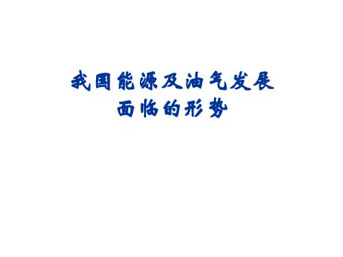 我国能源及油气发展面临的形势(