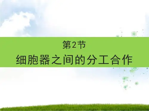 细胞器之间的分工合作【新教材】人教版高中生物必修教学课件