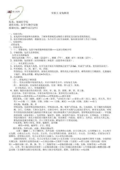 家兔解剖