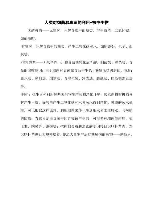 人类对细菌和真菌的利用-初中生物