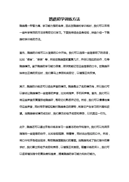 鹦鹉初学训练方法