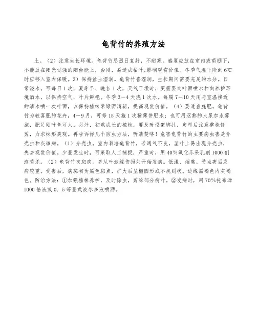龟背竹的养殖方法