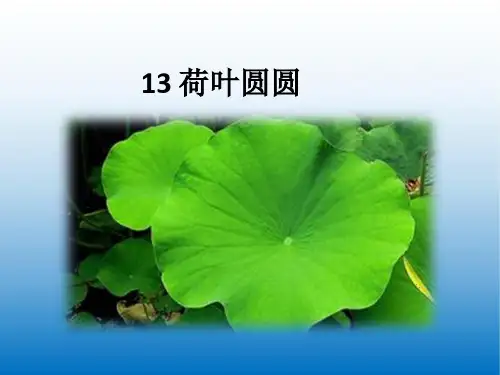 新版部编版一年级语文下册 13 荷叶圆圆 公开课课件精美版
