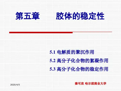 第五章 胶体的稳定性(精心制作)