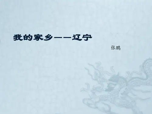 计算机基础家乡资料