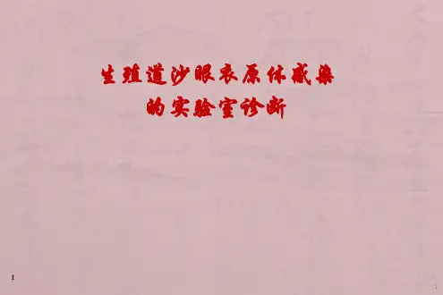 沙眼衣原体检测ppt课件