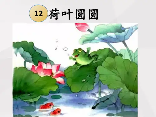 一年级语文下册 课文12、荷叶圆圆