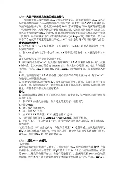 原核表达及抗体的制备