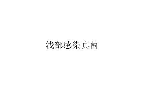 浅部感染真菌