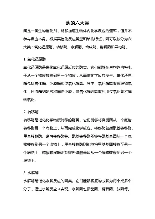 酶的六大类