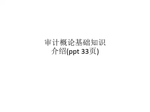 审计概论基础知识介绍(ppt 33页)