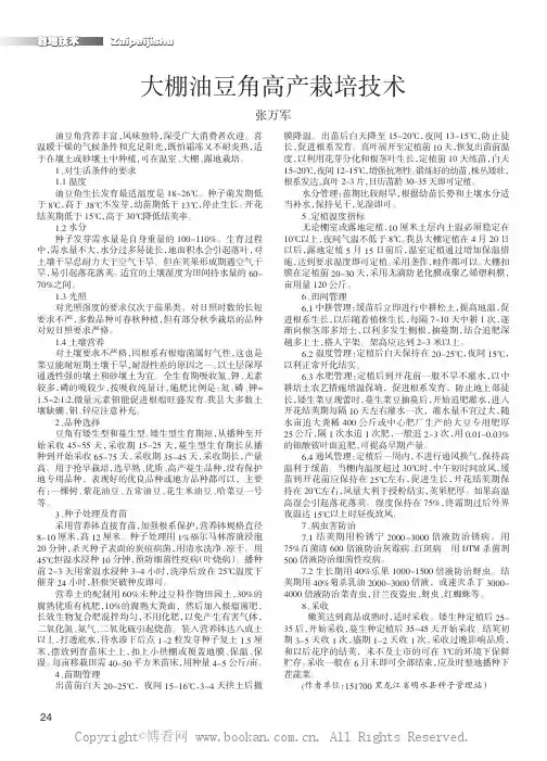 大棚油豆角高产栽培技术