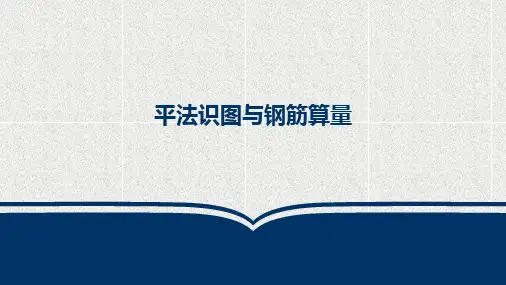 《平法识图与钢筋算量》课件