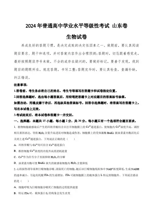 (2024年高考真题含解析)2024年山东省普通高中学业水平等级性考试生物试卷(含解析)