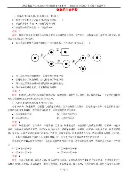 2019-2020年人教版高一生物必修1《第6章   细胞的生命历程》单元练习卷含解析
