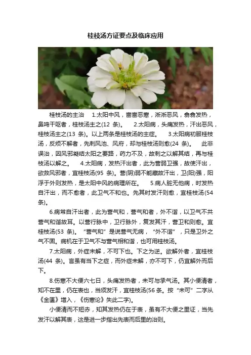 桂枝汤方证要点及临床应用