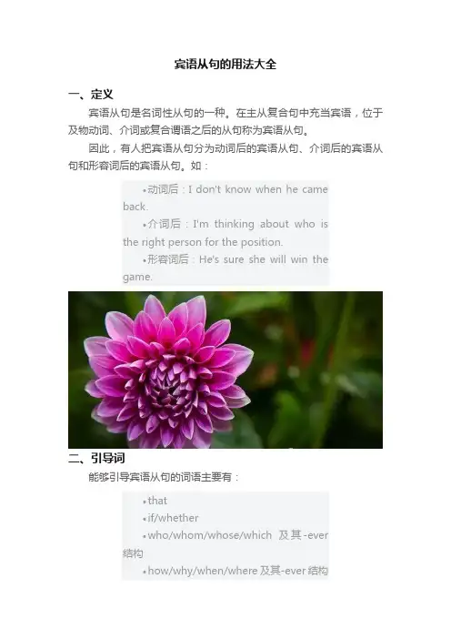 宾语从句的用法大全