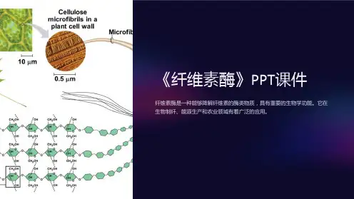 《纤维素酶》课件