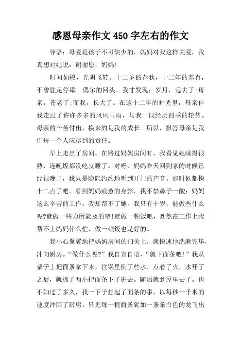 感恩母亲作文450字左右的作文