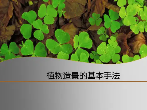 植物造景的基本手法