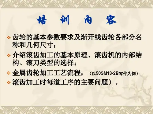 齿轮培训教材ppt课件.ppt