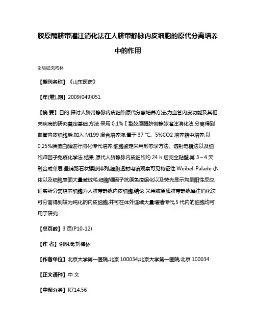 胶原酶脐带灌注消化法在人脐带静脉内皮细胞的原代分离培养中的作用