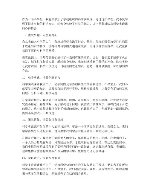 科学实践课小学生心得体会