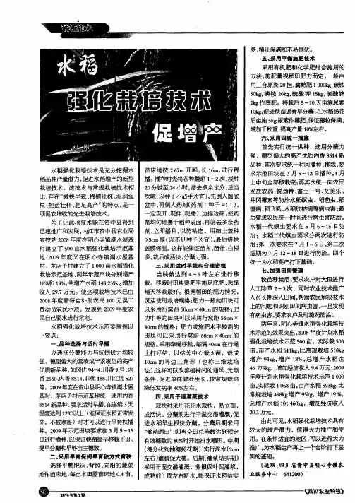 水稻强化栽培技术促增产