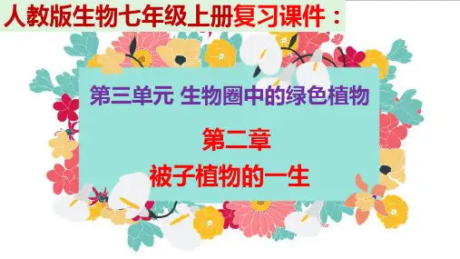 人教版生物七年级上册  复习课件：第三单元 第二章  被子植物的一生 