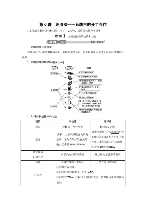2020年高考生物一轮复习讲义:第6讲细胞器——系统内的分工合作