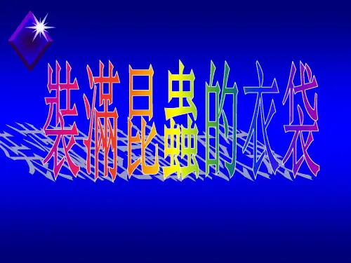 装满昆虫的衣袋