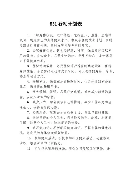 531行动计划表
