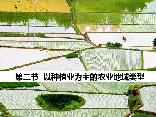 高一下学期必修二第三章第二节《 以种植业为主的农业地域类型》(共27张PPT)