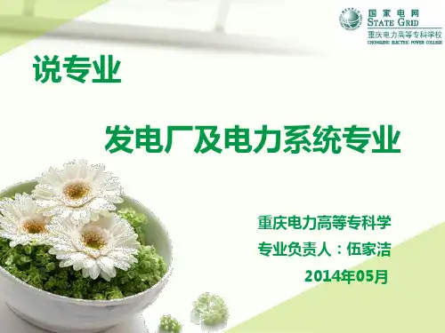 说专业发电厂及电力系统专业(5)