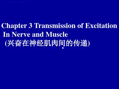 兴奋在神经肌肉间的传ppt课件