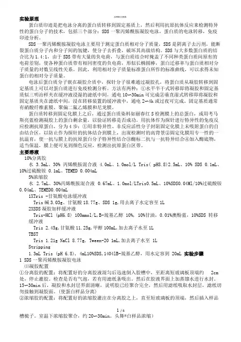 wb原理步骤及总结