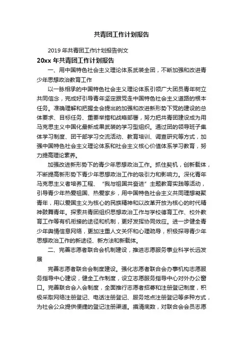 2019年共青团工作计划报告例文