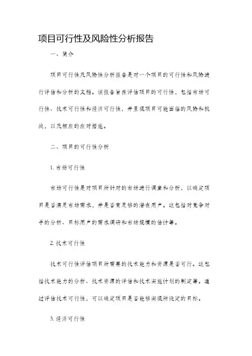 项目可行性及风险性分析报告
