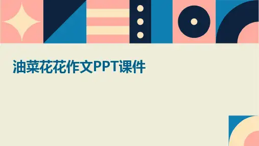 油菜花花作文ppt课件
