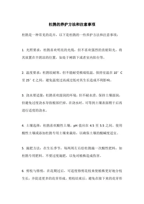 杜鹃的养护方法和注意事项