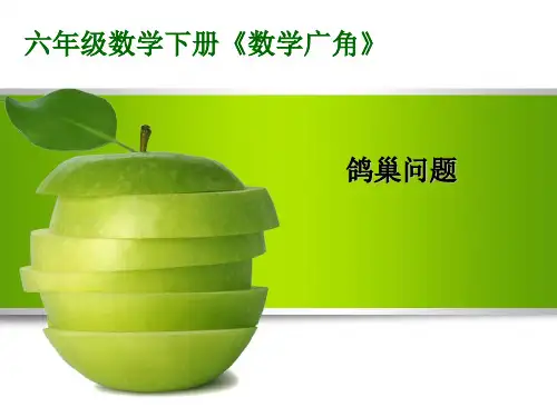 抽屉原理  (最终版)PPT课件