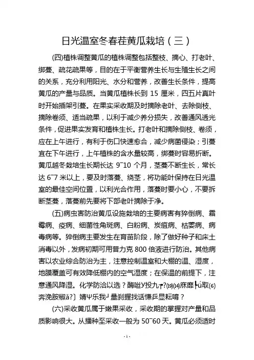 日光温室冬春茬黄瓜栽培(三)