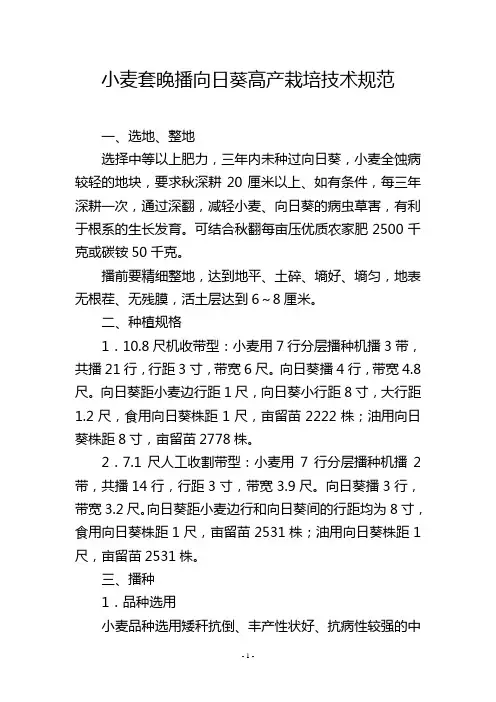 小麦套晚播向日葵高产栽培技术规范