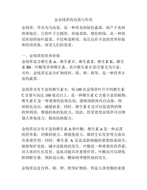 金金钱草的功效与作用