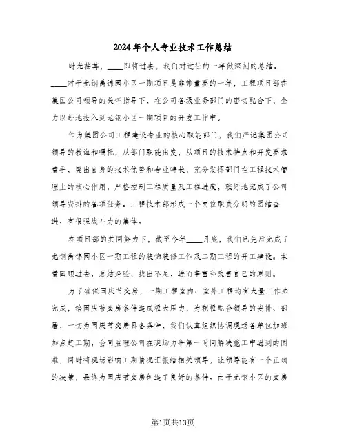 2024年个人专业技术工作总结（5篇）