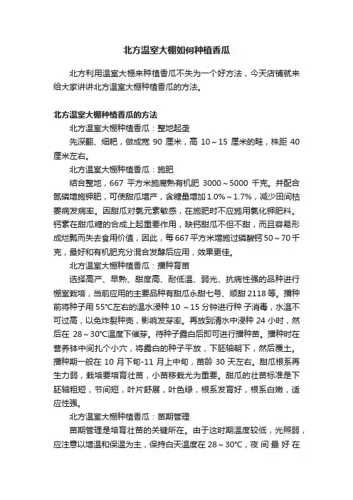 北方温室大棚如何种植香瓜