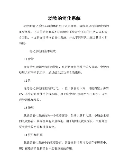 动物的消化系统